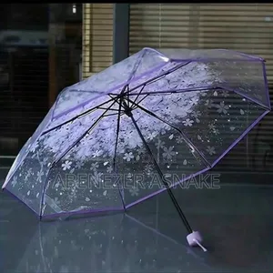 Transparent Umbrella for the Rain