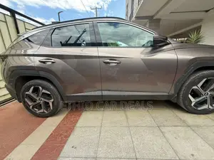 Hyundai Tucson 2023 Brown