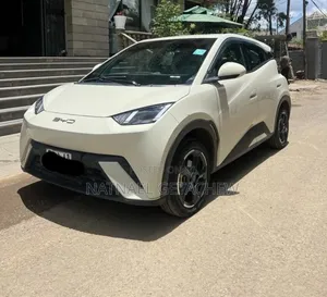 BYD Seagull 2024