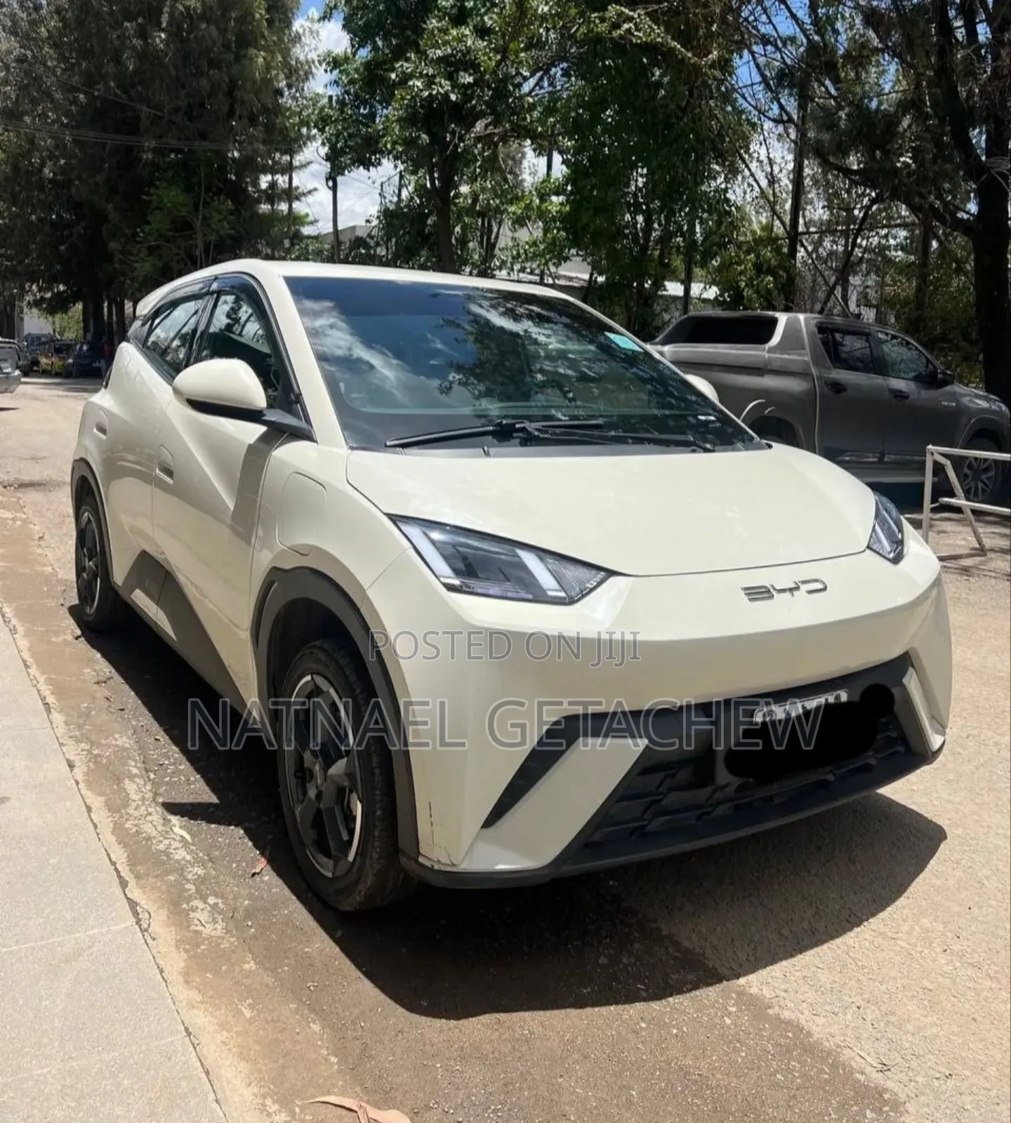 BYD Seagull 2024