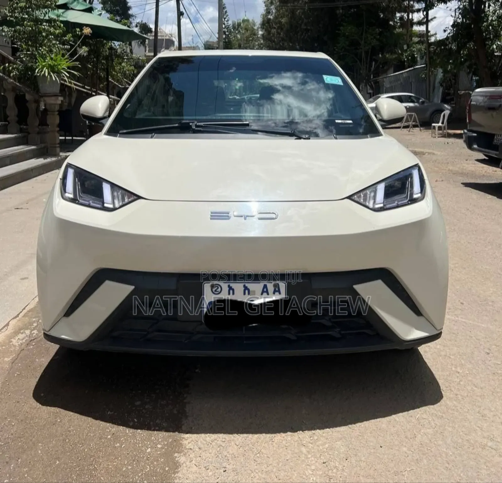 BYD Seagull 2024