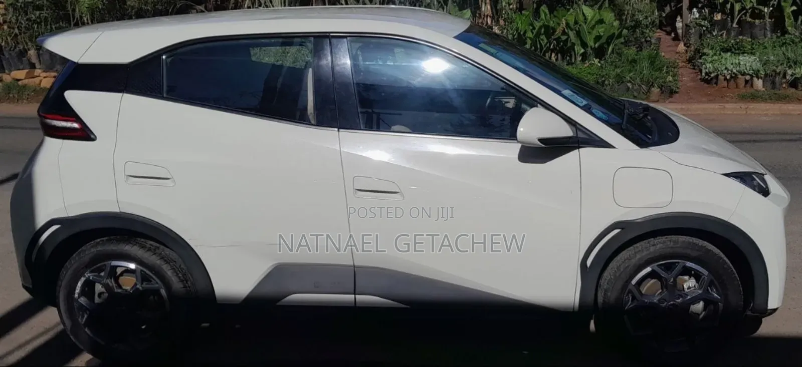 BYD Seagull 2024
