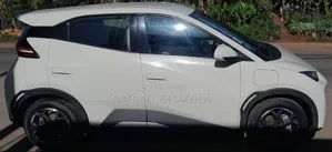 BYD Seagull 2024