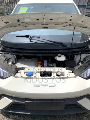 New BYD Seagull 2025 White
