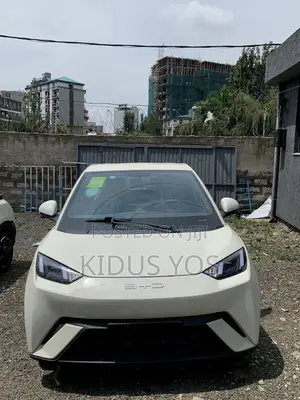 New BYD Seagull 2025 White