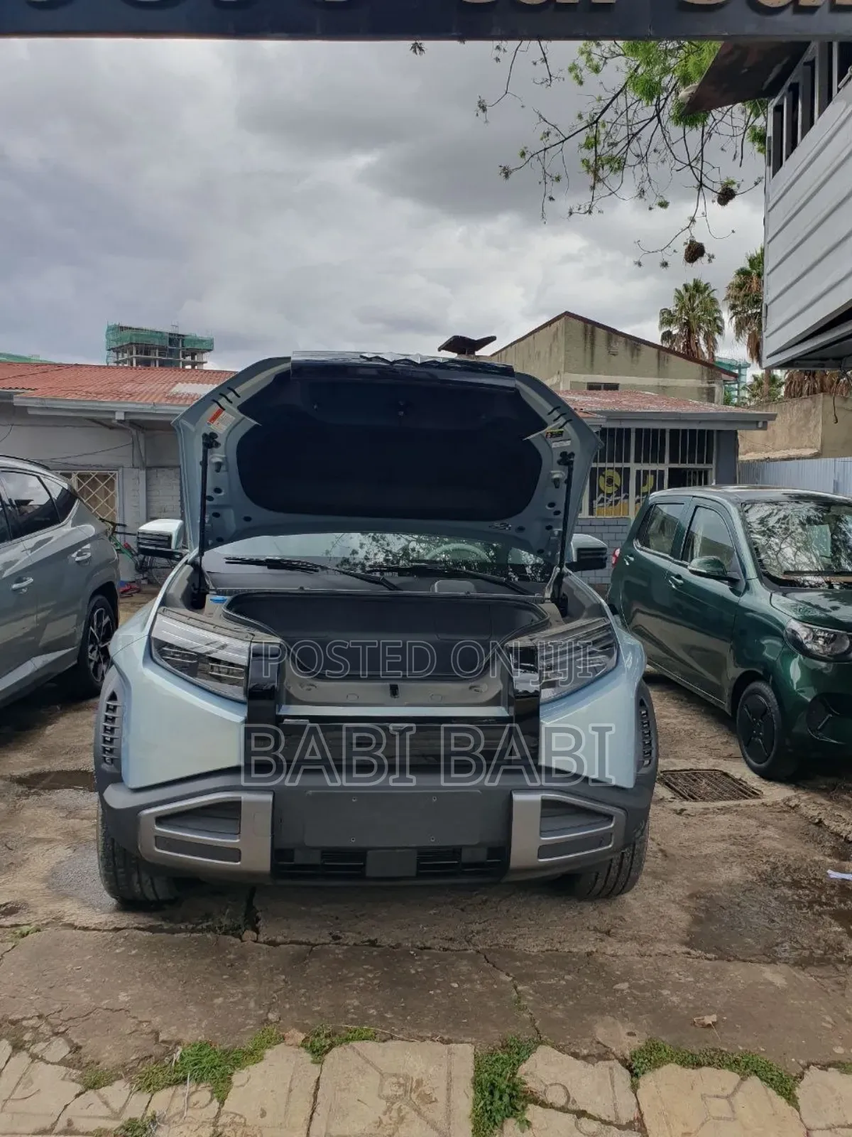 New BYD Leopard 3 2025 Blue