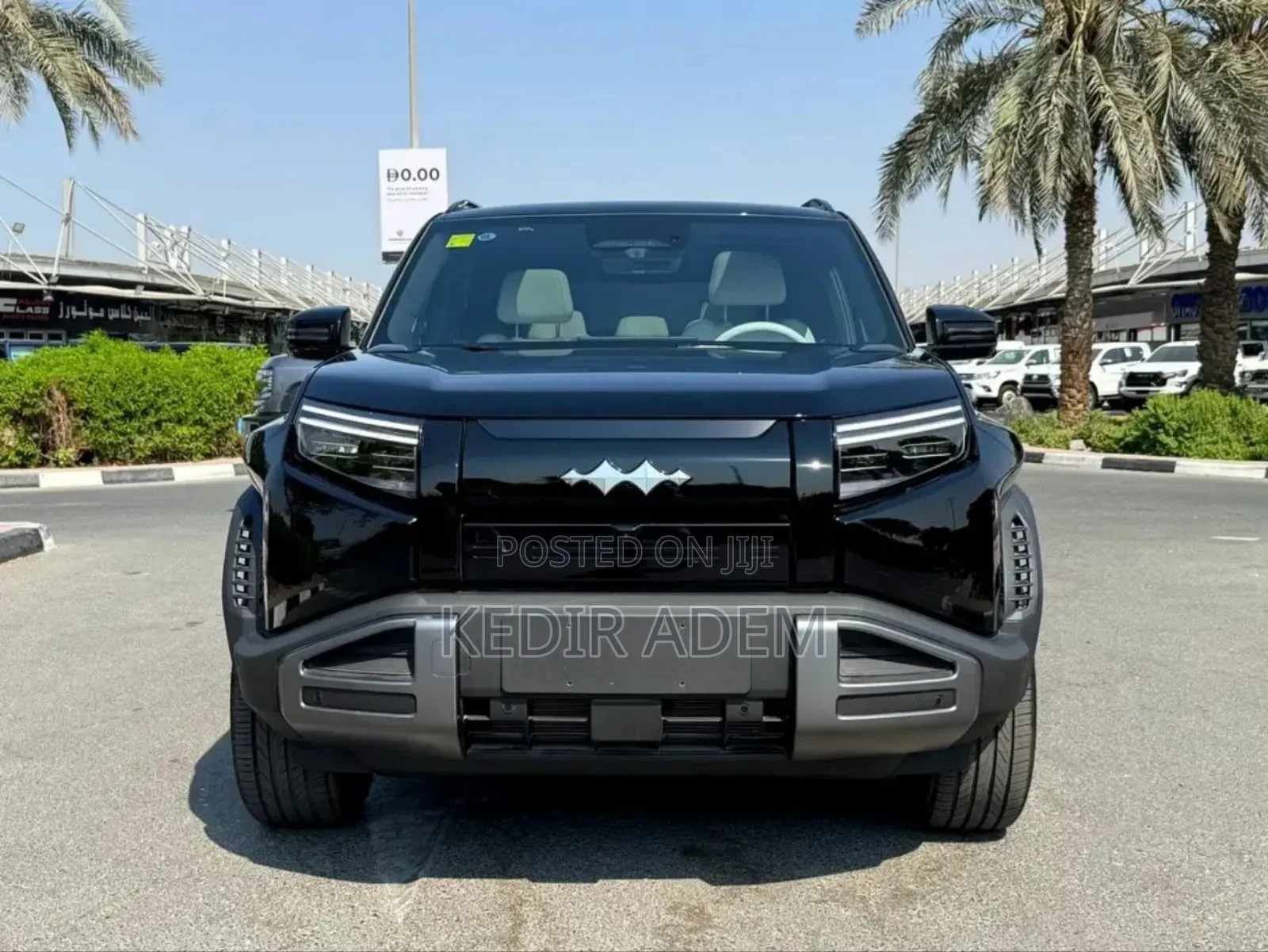 New BYD Leopard 3 2025 Black