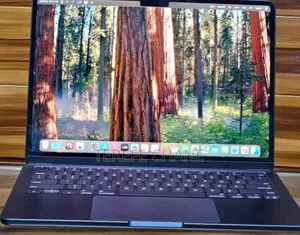 New Apple MacBook Air 2025 M4 13-inch 16GB Apple M4 Max SSD 256GB