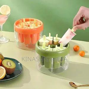 Reusable Ice Cream Moulds(8 Set)