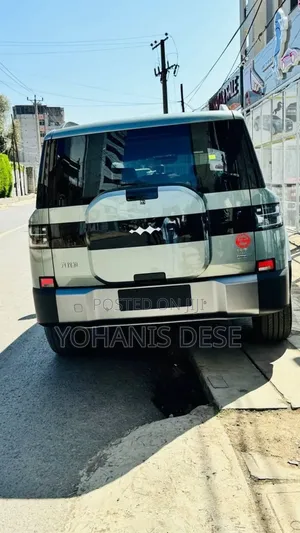New BYD Leopard 7 2025 Gray