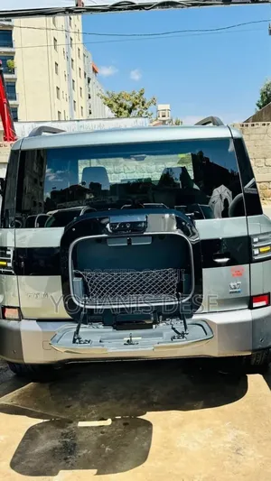 New BYD Leopard 7 2025 Gray