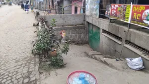 Renting Warehouse House Sufficient
