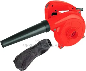 Edon Electric Blower