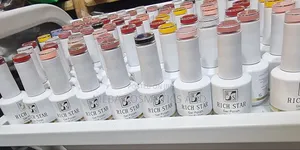 Rich Star Gel Polish (ሺላክ)