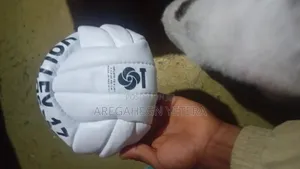 Volleyball