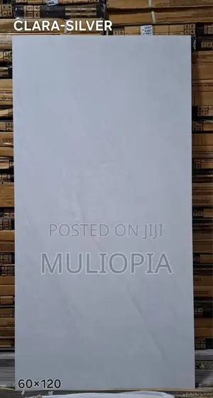 ዘመናዊ የፖርሴሊን የወለል ሰራሚኮች (Premium Porcelain Floor Tiles)