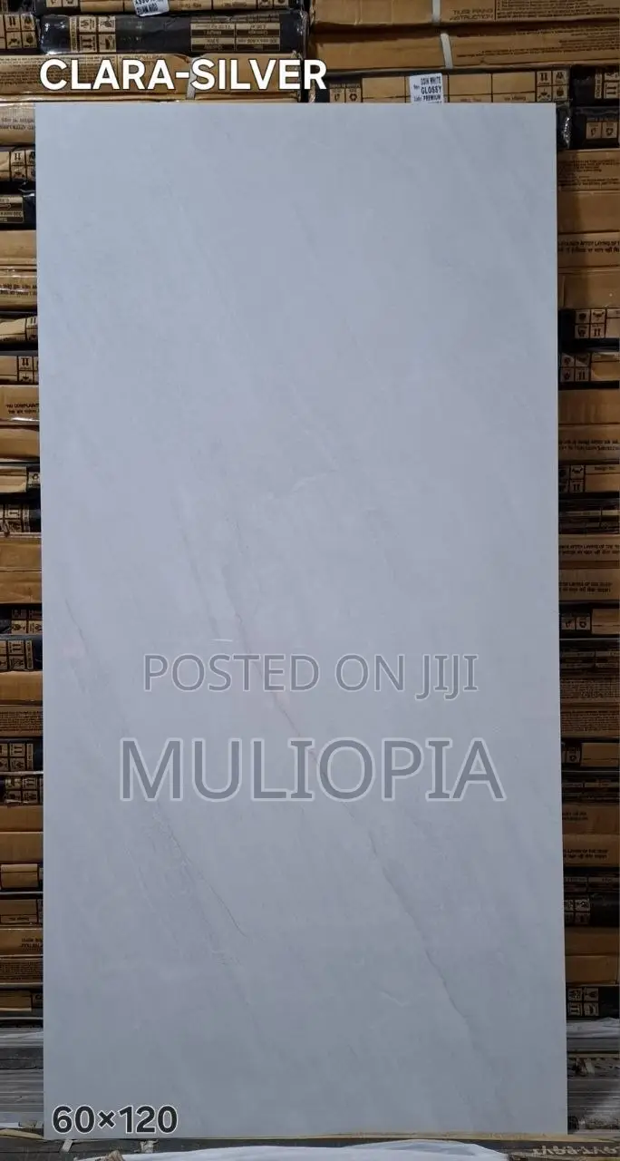 ዘመናዊ የፖርሴሊን የወለል ሰራሚኮች (Premium Porcelain Floor Tiles)