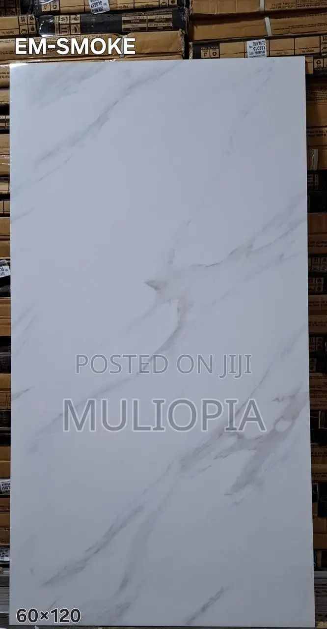 ዘመናዊ የፖርሴሊን የወለል ሰራሚኮች (Premium Porcelain Floor Tiles)