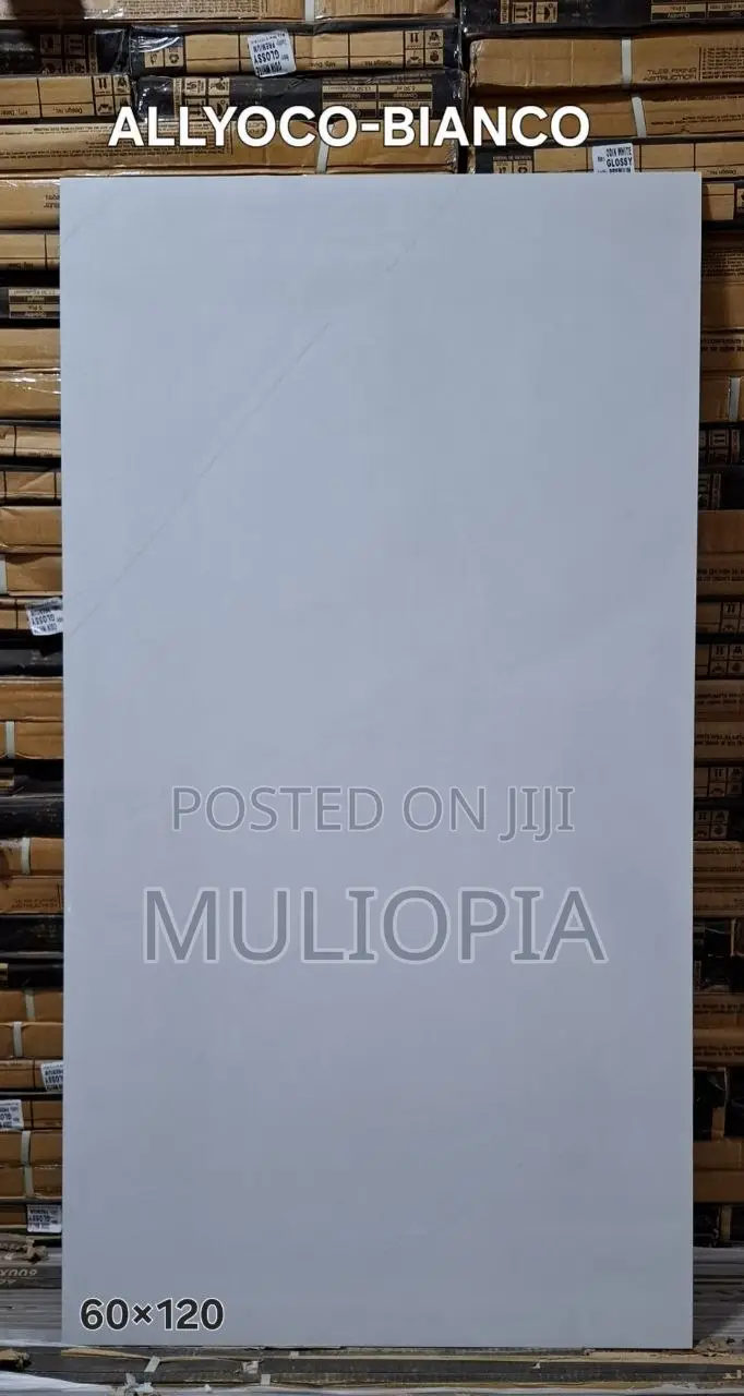 ዘመናዊ የፖርሴሊን የወለል ሰራሚኮች (Premium Porcelain Floor Tiles)