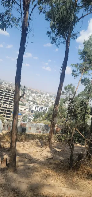 Open Land for Sell