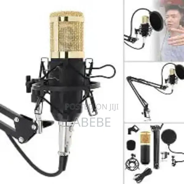 Condenser Microphone (V8)