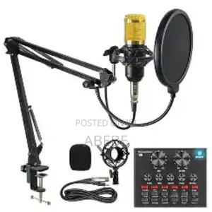 Condenser Microphone (V8)