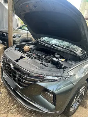 Hyundai Tucson 2022 Gray