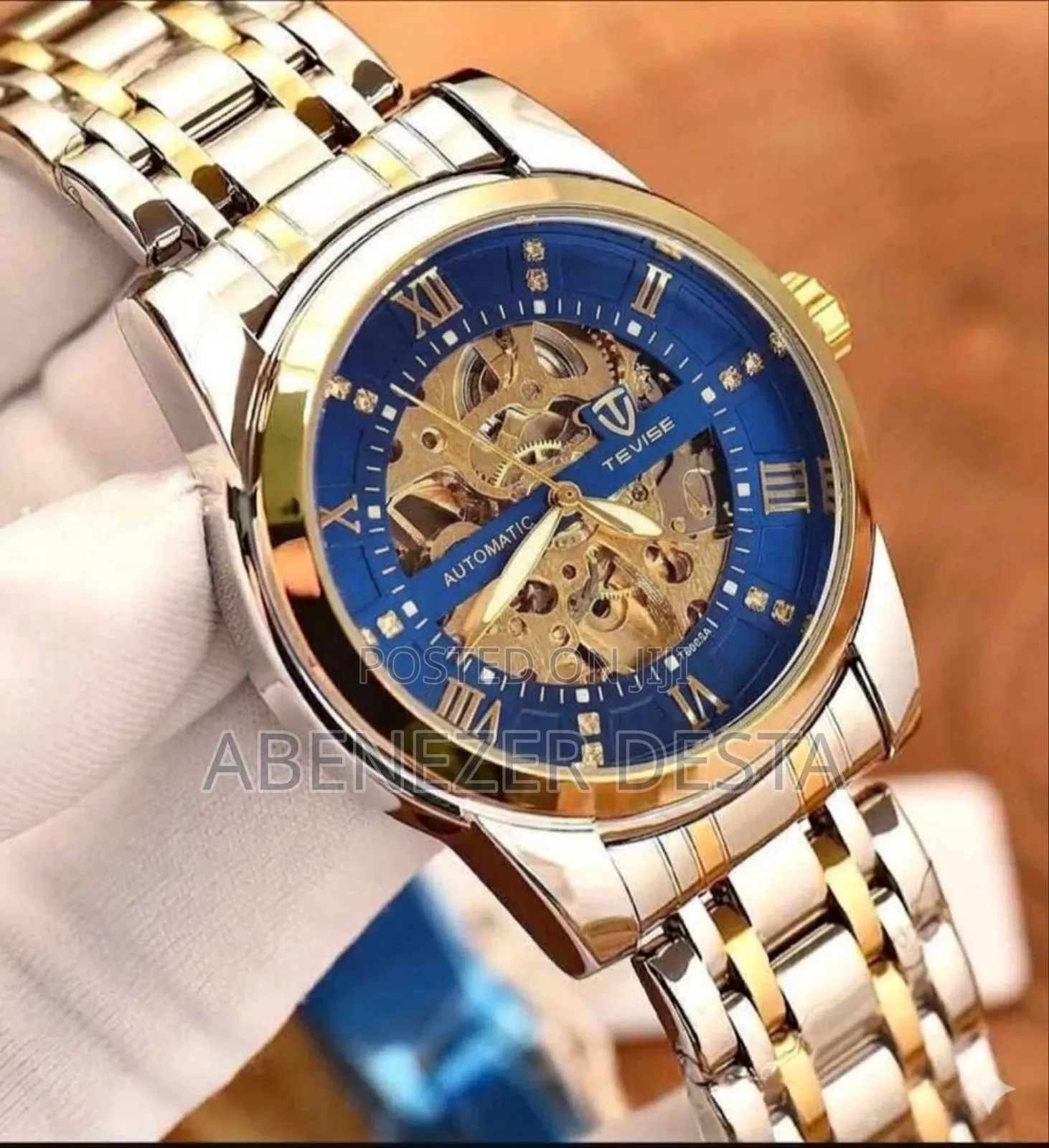 Tevise Brand Automatic Mechanical Skeleton Wristwatch