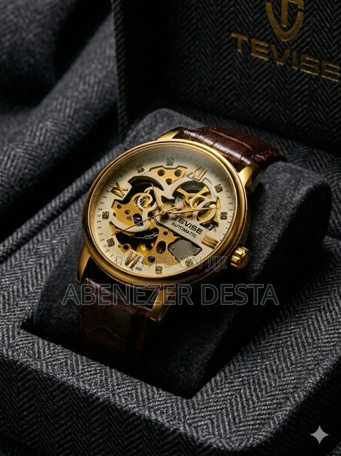 Tevise T869 Men's Automatic Mechanical Skeleton Watch Featuring