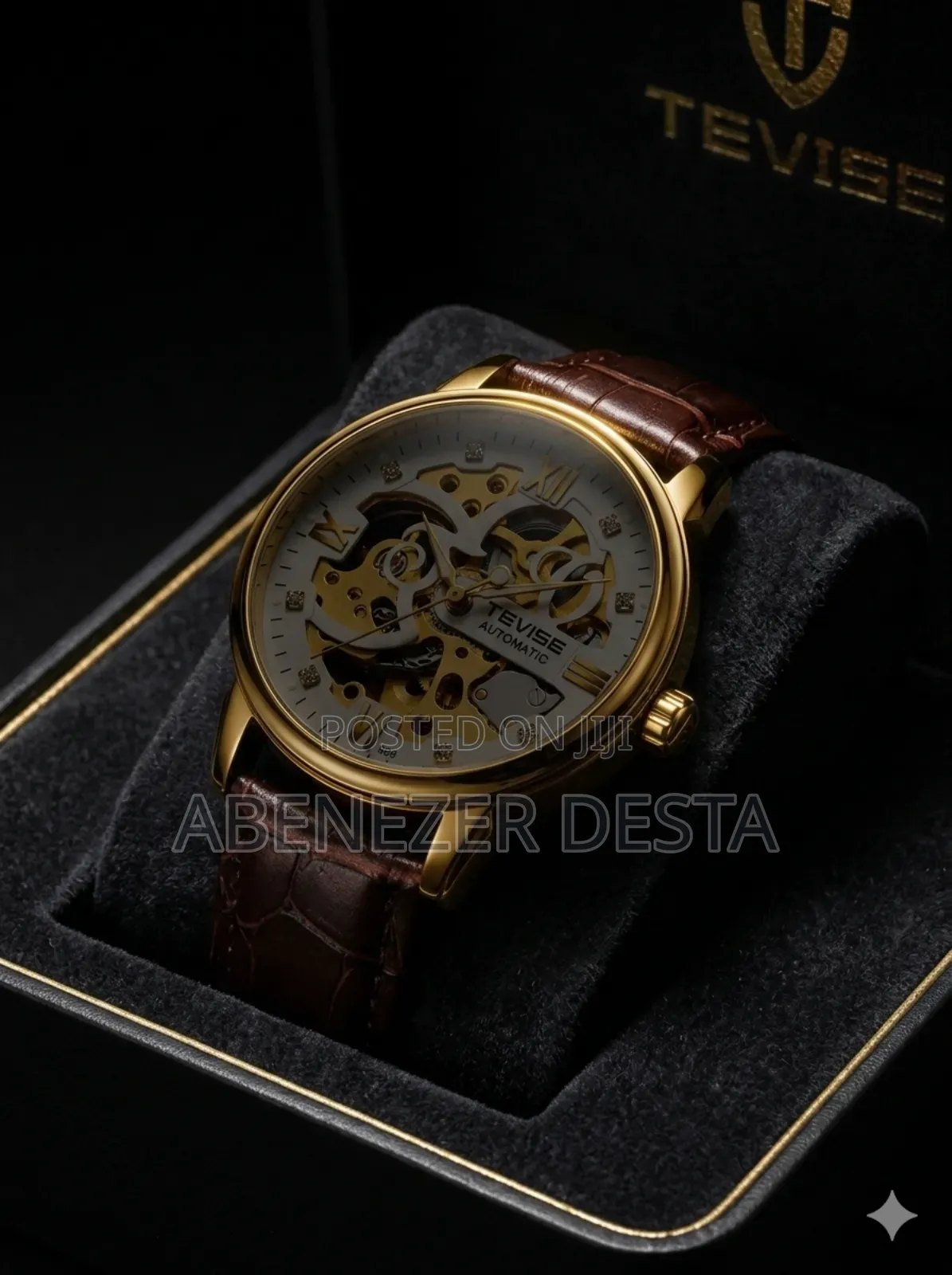 Tevise T869 Men's Automatic Mechanical Skeleton Watch Featuring