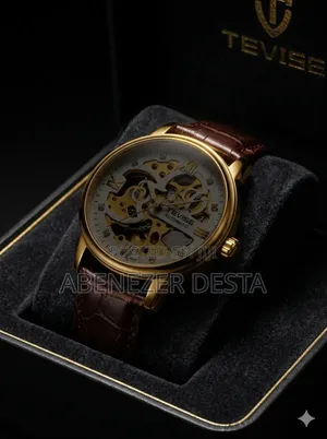 Tevise T869 Men's Automatic Mechanical Skeleton Watch Featuring
