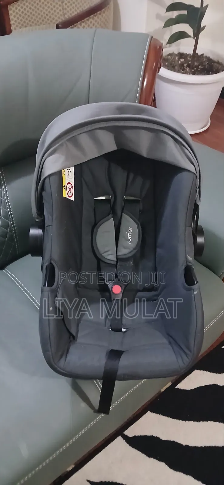 Baby's Car Seat