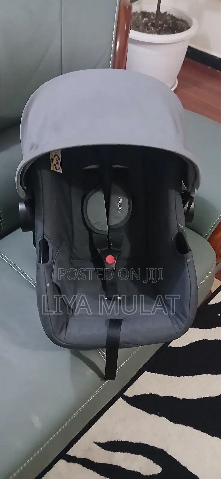 Baby's Car Seat