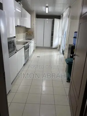 Furnished 3bdrm Apartment in Omtha, Bole for rent