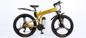 Luxury Foldable E-Bike