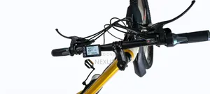 Luxury Foldable E-Bike