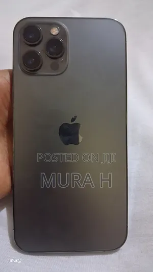 Apple iPhone 12 Pro Max 128 GB Gray