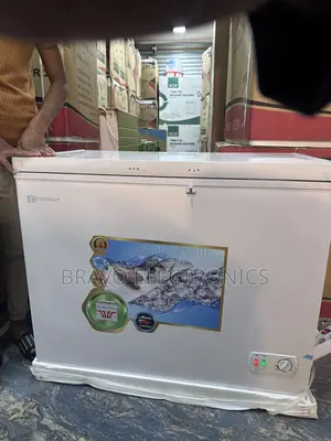 Everest Deep Freezer 260