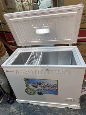 Everest Deep Freezer 260