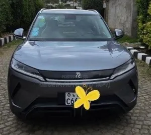 BYD Yuan Up 2025