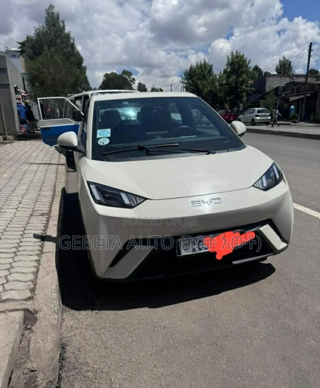 BYD Seagull 2024