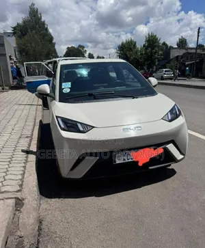 BYD Seagull 2024
