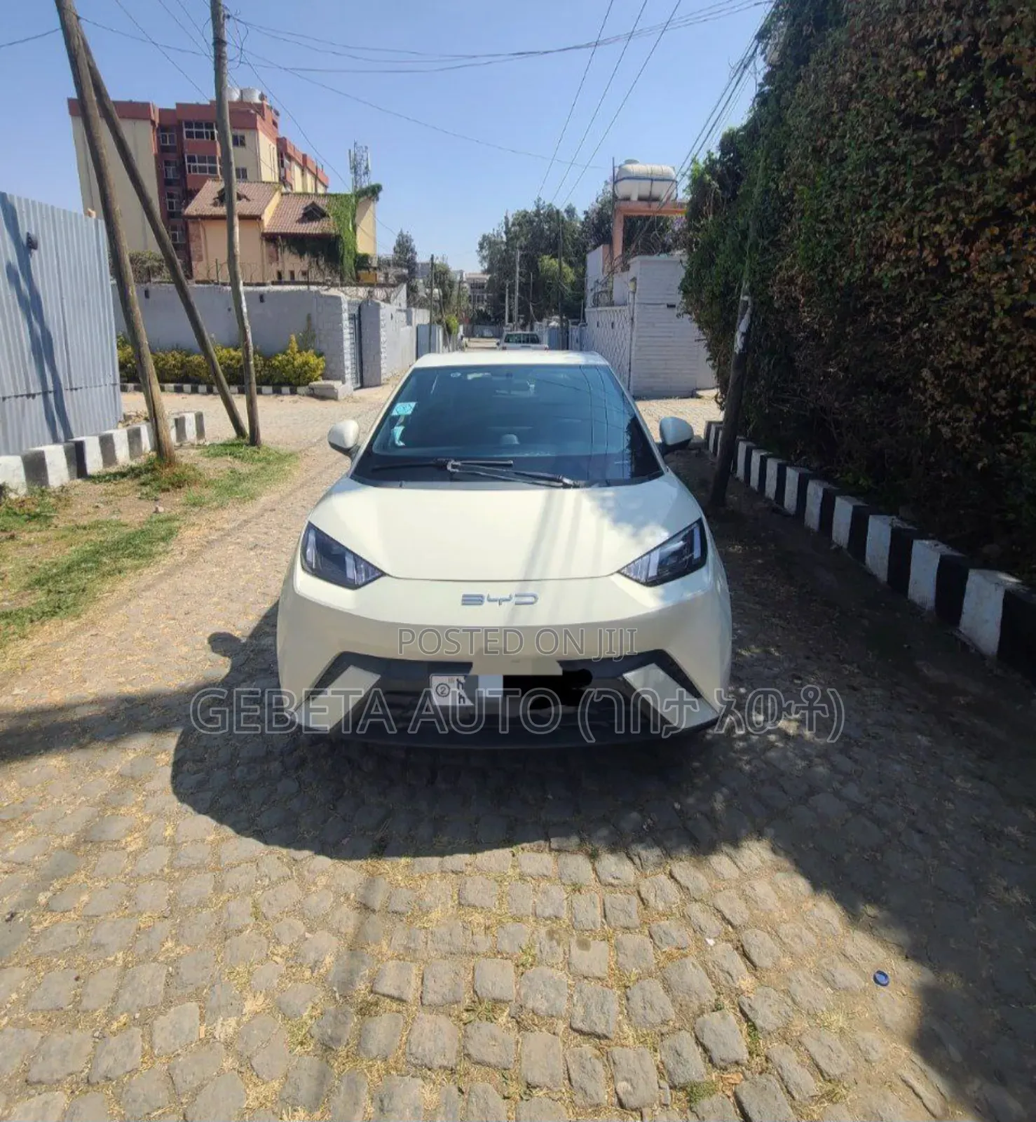 BYD Seagull 2024
