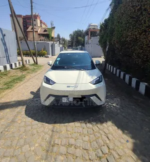 BYD Seagull 2024
