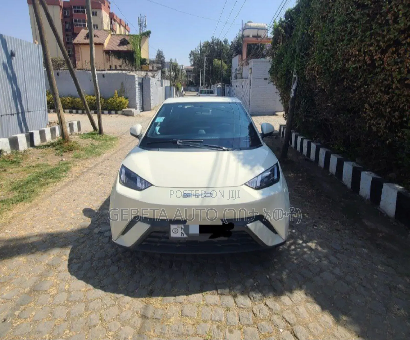 BYD Seagull 2024