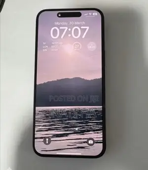 Apple iPhone 15 Pro Max 256 GB Black