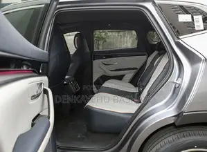 BYD Song Plus 2025 Gray