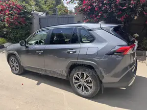 Toyota RAV4 Limited AWD 2023 Gray