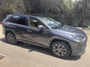 Toyota RAV4 Limited AWD 2023 Gray