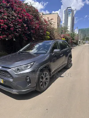 Toyota RAV4 Limited AWD 2023 Gray